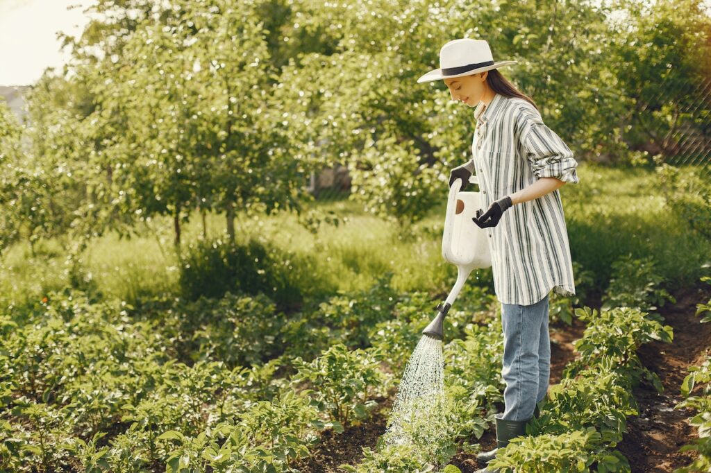 A Step-by-Step Guide to Setting Up Your First Garden