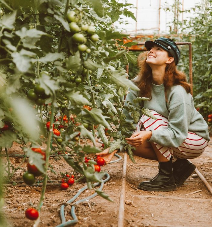 Blooming Success: Step Three to a Vibrant and Thriving Garden